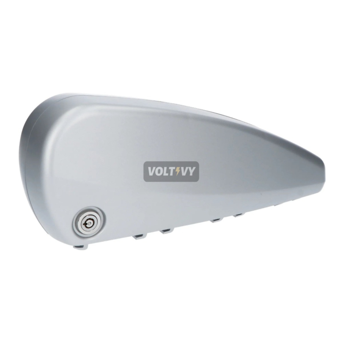 BMZ Go Swiss 36V 16Ah Drive Down Tube